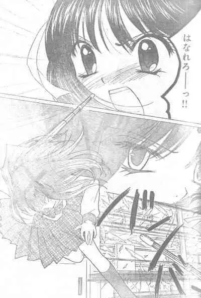 Mia Ikumi Girls Fight Japanese