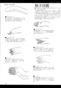 (C89) [SHIS (Z-ton)] A Beautiful Greed Z-ton Jingai Soushuuhen