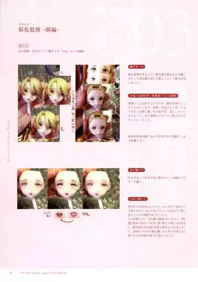 Figure Kanshuu & Illust Making Hon