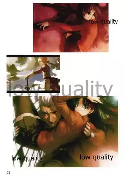 Fate/stay night Illust Shuu "Usuyami"