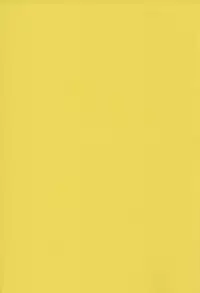 (C93) [Hoshikuzu Comet (Yuzuki Yua)] COMET:11 (Fate/Grand Order) [Chinese] [靴下汉化组]