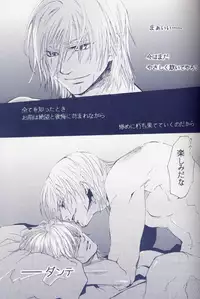 [Devil May Cry] Fragment (VergilxDante)