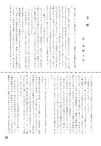 (c52) [Vachicalist] Pariporon (Darkstalkers, Akazukin Chacha)