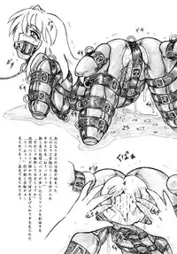 (C87) [Sumomo Dou (Sumomo EX)] Seiyoku Shinryousho