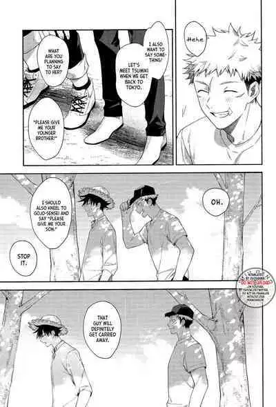 Marigold e | My Dear Marigold