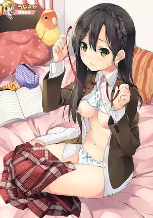 月刊めろメロ2016年1月号