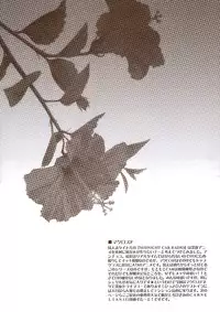 (C74) [CARNELIAN] MIDNIGHT CAR RADIO (Macross Frontier)