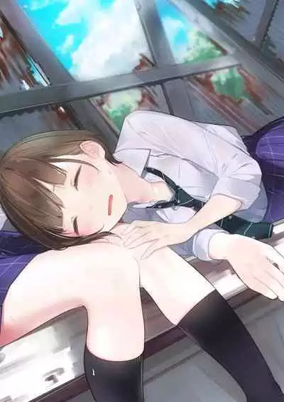 (C95) [Zero Grafitty (Amamitsuki)] Appealingirls02