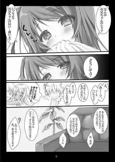 Happoubijin nano wa Dame da yo Onii-chan