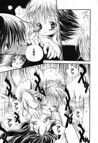 [Anthology] Pure Petit Vol. 21