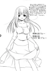 (C66) [IIWAKE-GAISYA (Shigemiya Kyouhei)] Hatsujou Toiki (Fate/stay night) [Digital]