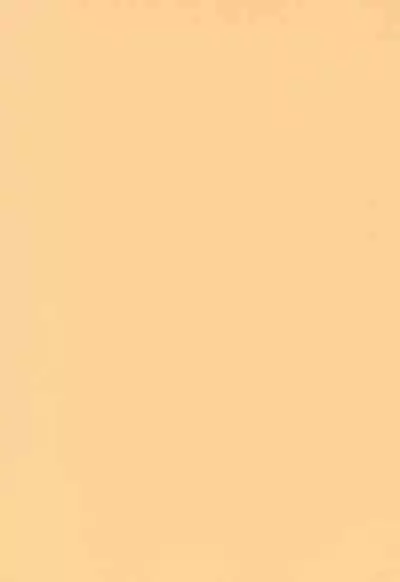 (SC11) [CHEROKEE (Maeda)] cherokee works for 20th century