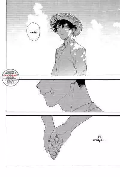 Marigold e | My Dear Marigold