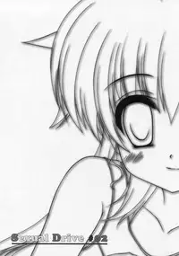 (C84) [Maya-tei (Asano Maya)] Sexual Drive #02 (Magical Girl Lyrical Nanoha)