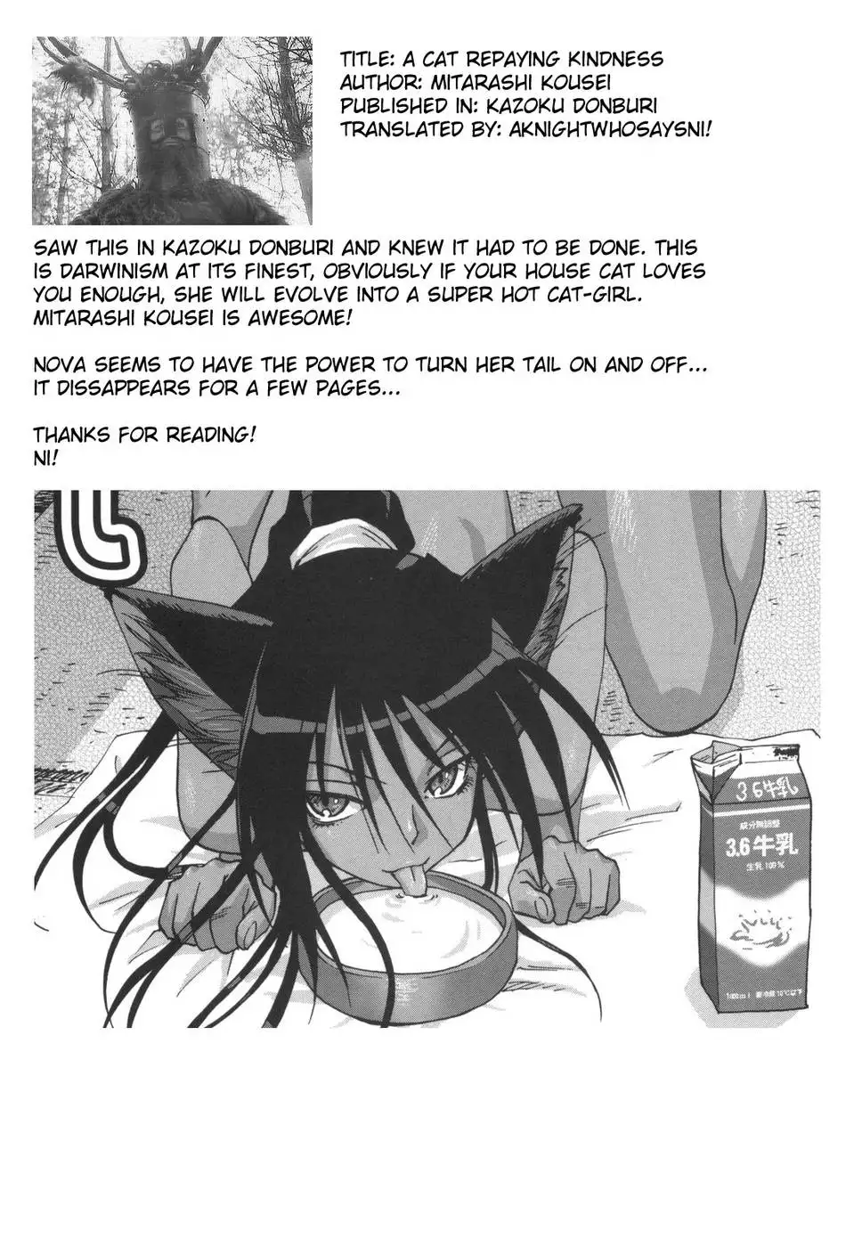 A Cat Repaying Kindness