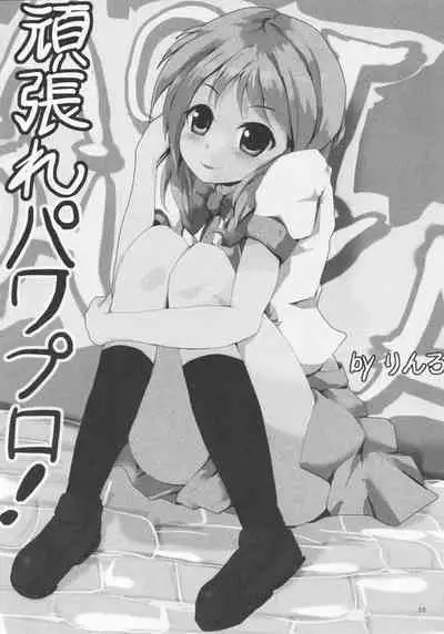 Pawaplus H 2012 Fuyu