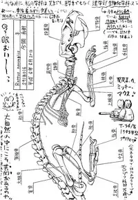 (CR18) [Imakaya (Imaka Hideki)] SLUMP-GAKUEN! (Magic Knight Rayearth)