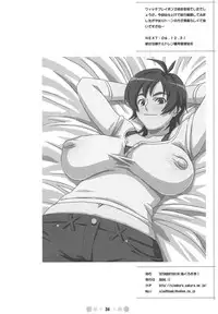 [TETRODOTOXIN (Nise Kurosaki)] WITCH BLABON B-98 (Witchblade)