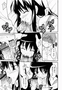 [Nippori] Daisy Blue