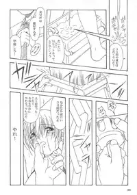 (C58) [AKKAN-Bi PROJECT (Yanagi Hirohiko)] DEAD WOOD (Dead or Alive)