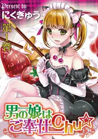 [Nikugyuu] Otokonoko wa Gohoushi Chu☆ [English] [mysterymeat3] [Digital]