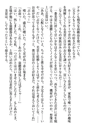 年上メイドの新婚日記