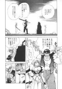 [Fujisaki Makoto] Dark Wirbel Konran-hen