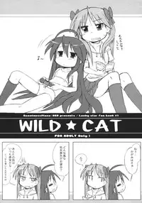 (Puniket 15) [Kanmidokoro USB (Furiri)] WILD CAT (Lucky Star)