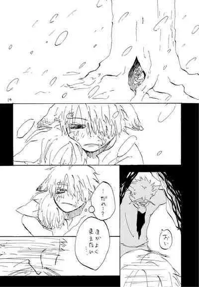 海の虹が沈む森