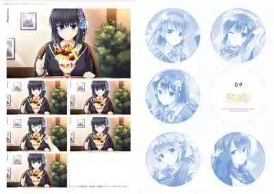 ensemble anniversary Ojousama-Series 10disc set DIGITAL MEMORIAL BOOK