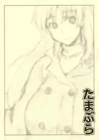 (C81) [Sago-Jou (Saura Isago)] Tamabura (ToHeart2)