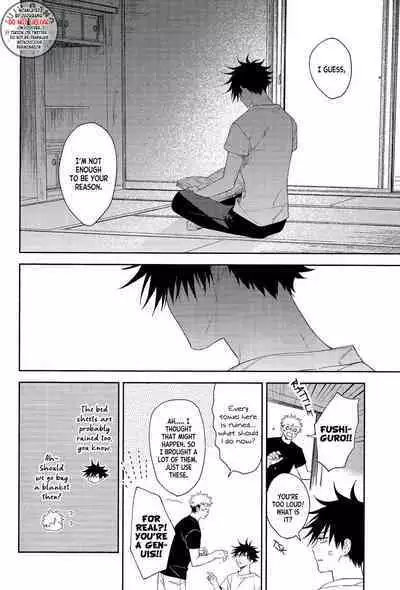 Marigold e | My Dear Marigold