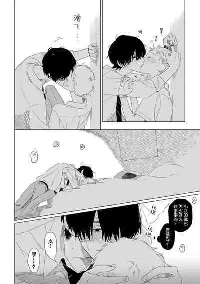 Can't Help Fall in Love