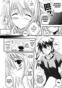 (C81) [SONIC WINTER (Tsukishima Kai)] Carol (Infinite Stratos) [English]