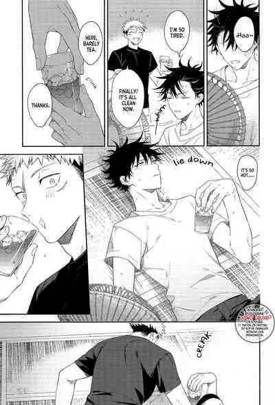 Marigold e | My Dear Marigold