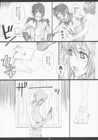 (C68) [M (Amano Ameno)] GseedM (Gundam SEED DESTINY)