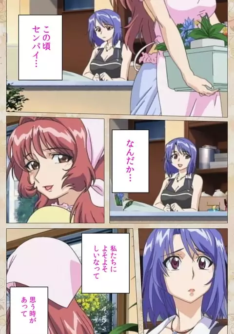 Aniyome wa Ijippari #01 Complete Ban