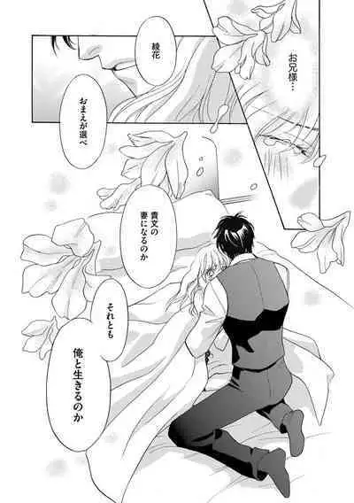 [Omi Shinano] Imouto Mekake ~Onii-sama, Mou Yurushite~ 3 [Digital]