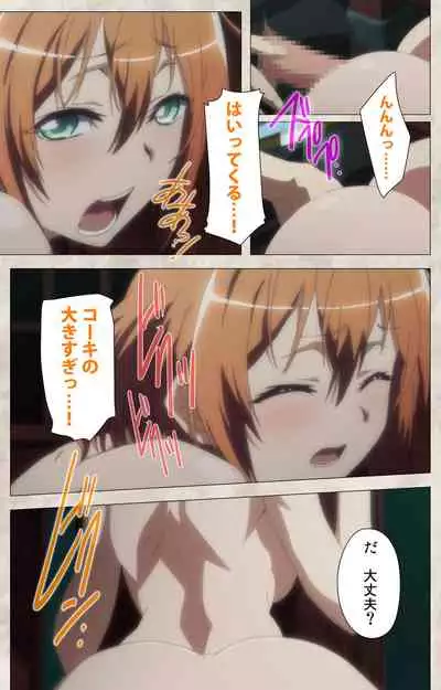 Ane Yome Quartet Kanzenban