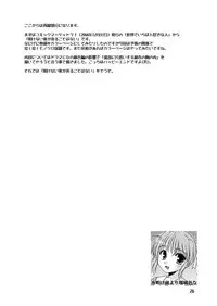 (C73) [Cool Palace (Suzumiya Kazuki)] Re: (Yoake Mae Yori Ruriiro na)