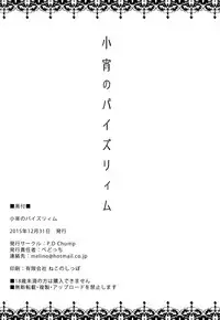 (C89) [P.D Chump (Pedocchi)] Koyoi No Paizuream