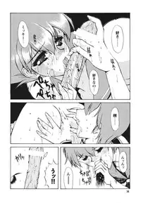 [Seishun No Nigirikobushi!] Favorite Visions 2 (Sailor Moon, AIKa)