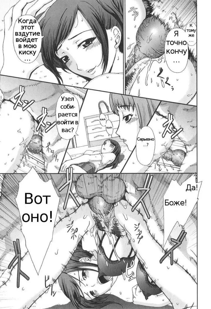 Ryouchou-san no Okiniiri! | The Dorm Leader’s Pet!