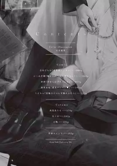 Dom/Sub Universe BL 01-03