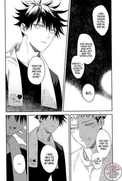 Marigold e | My Dear Marigold