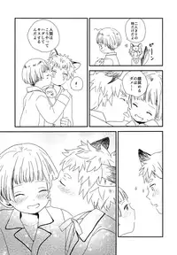 (C95) [Wakuwaku Shotaland (myv)] Ookami no Shitateya