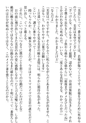 年上メイドの新婚日記