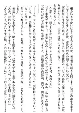 年上メイドの新婚日記