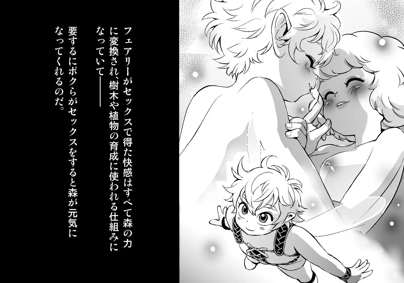 フェアリーセティ