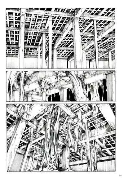 Princess of the Never Ending Castle